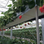 Thumbnail of related posts 060