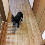 Thumbnail of related posts 159