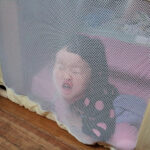 Thumbnail of related posts 153