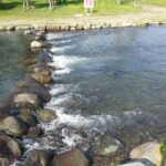 Thumbnail of related posts 103