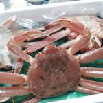 Thumbnail of related posts 072