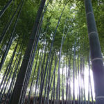 Thumbnail of related posts 183