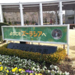 Thumbnail of related posts 108