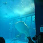 Thumbnail of related posts 019