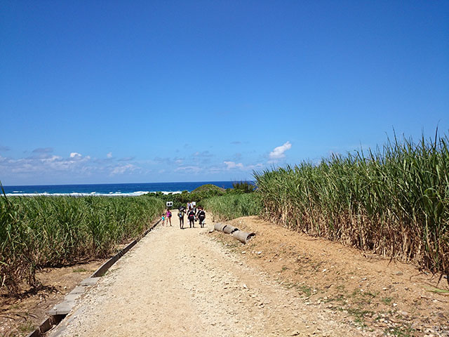 旅行中盤、真栄田岬で海遊びの沖縄三日目