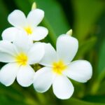 Thumbnail of related posts 101