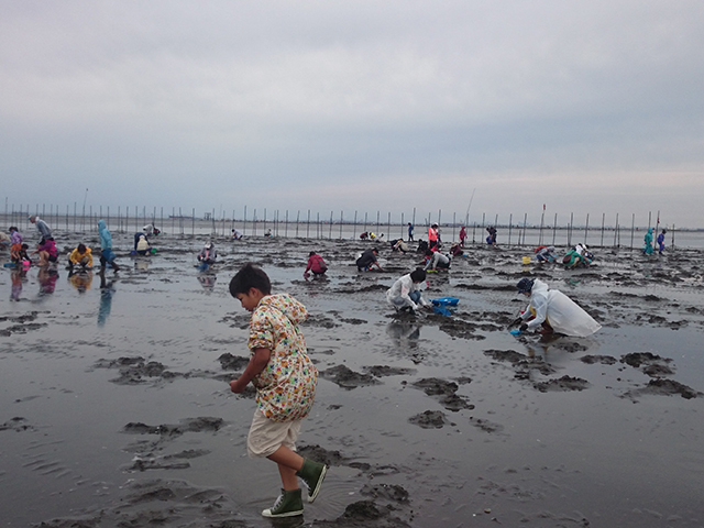 千葉・江川海岸で初の潮干狩り体験