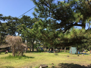 富津公園キャンプ場