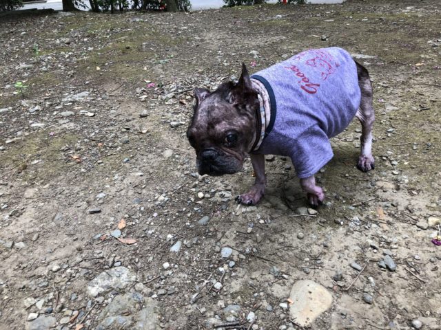 Thumbnail of post image 000