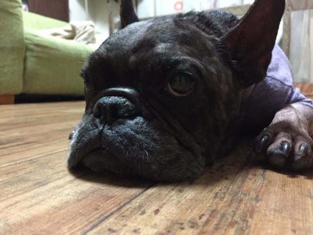 Thumbnail of post image 023