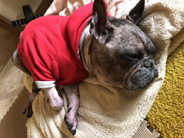 Thumbnail of post image 042